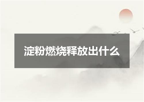 淀粉燃烧释放出什么