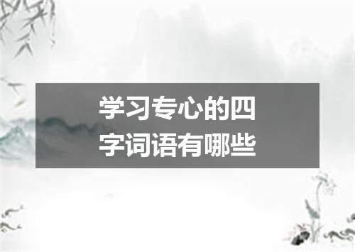 学习专心的四字词语有哪些