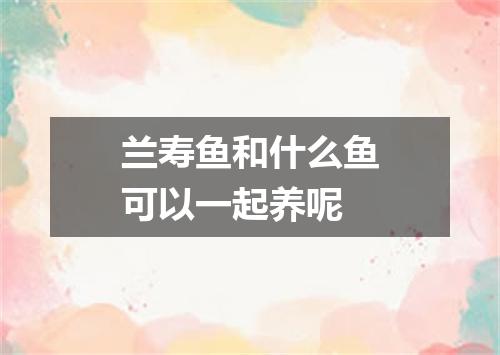 兰寿鱼和什么鱼可以一起养呢
