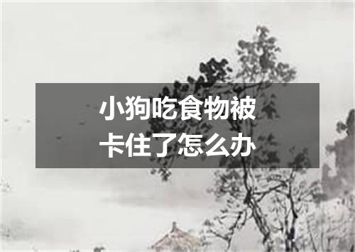 小狗吃食物被卡住了怎么办