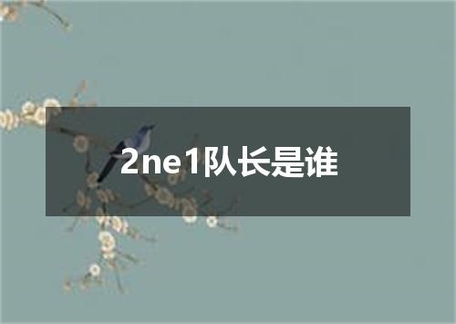 2ne1队长是谁