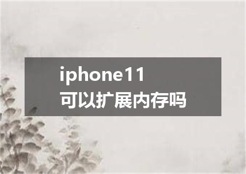 iphone11可以扩展内存吗