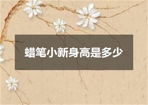 蜡笔小新身高是多少