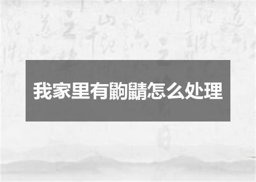 我家里有鼩鼱怎么处理