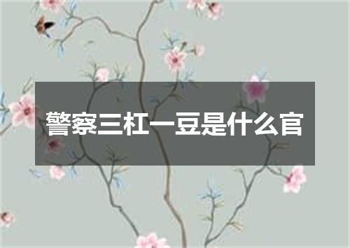 警察三杠一豆是什么官