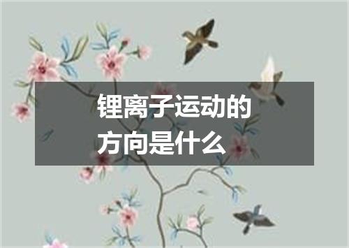 锂离子运动的方向是什么