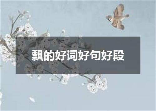 飘的好词好句好段