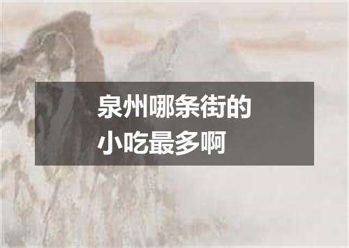 泉州哪条街的小吃最多啊