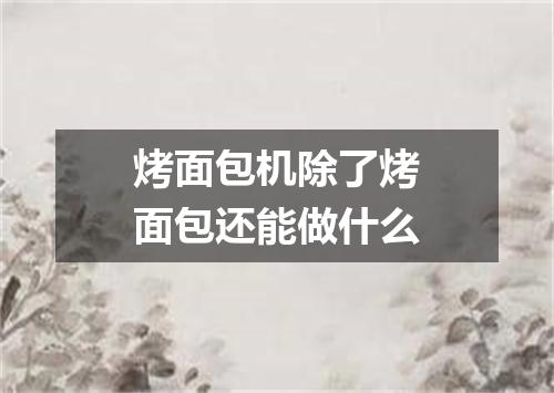 烤面包机除了烤面包还能做什么