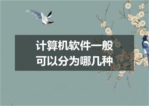 计算机软件一般可以分为哪几种
