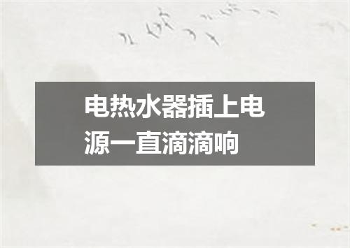 电热水器插上电源一直滴滴响