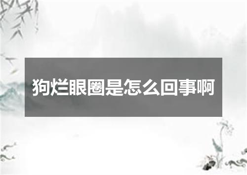 狗烂眼圈是怎么回事啊