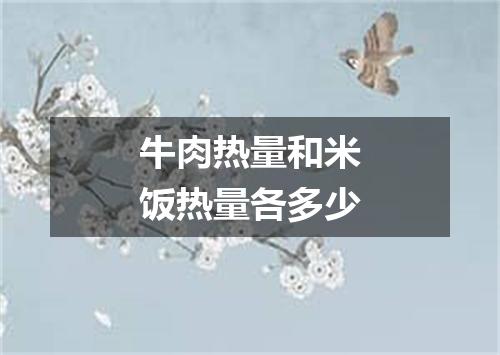 牛肉热量和米饭热量各多少