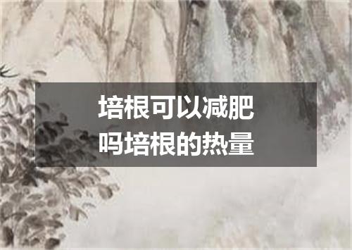 培根可以减肥吗培根的热量