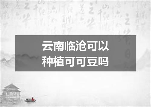 云南临沧可以种植可可豆吗