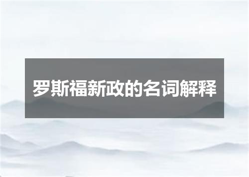 罗斯福新政的名词解释