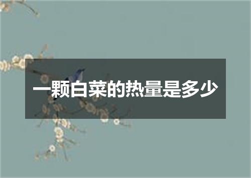 一颗白菜的热量是多少
