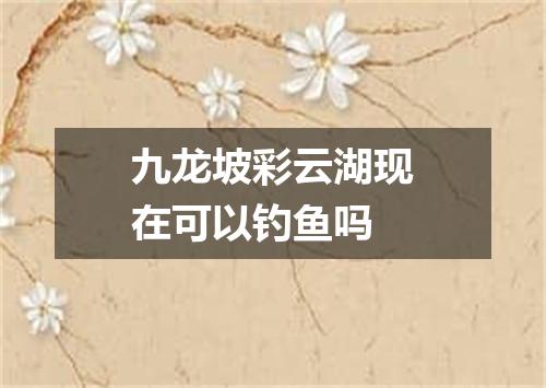 九龙坡彩云湖现在可以钓鱼吗