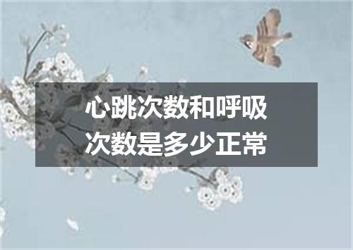 心跳次数和呼吸次数是多少正常