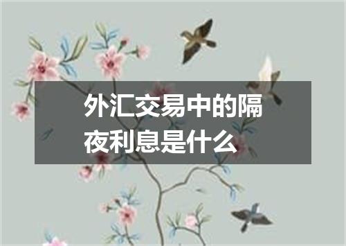 外汇交易中的隔夜利息是什么