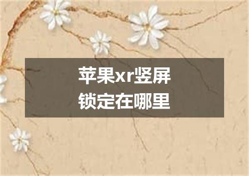苹果xr竖屏锁定在哪里