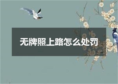 无牌照上路怎么处罚