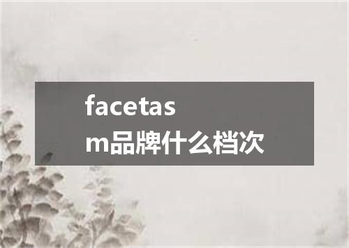 facetasm品牌什么档次