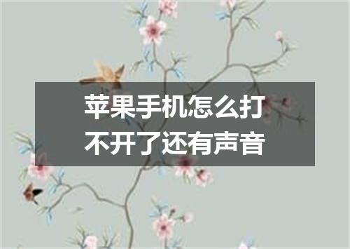 苹果手机怎么打不开了还有声音