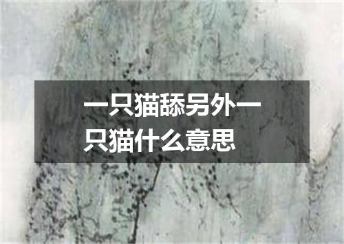 一只猫舔另外一只猫什么意思