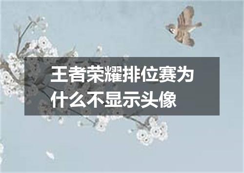 王者荣耀排位赛为什么不显示头像
