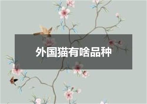 外国猫有啥品种
