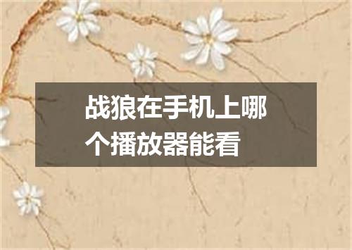 战狼在手机上哪个播放器能看