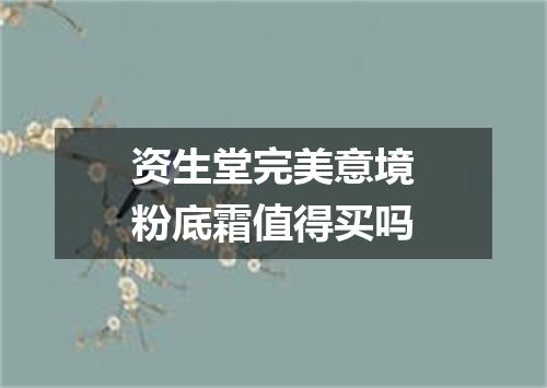 资生堂完美意境粉底霜值得买吗