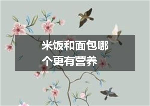 米饭和面包哪个更有营养