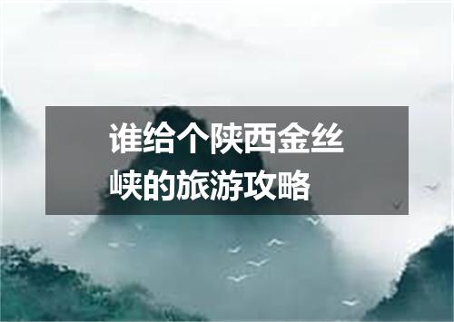 谁给个陕西金丝峡的旅游攻略