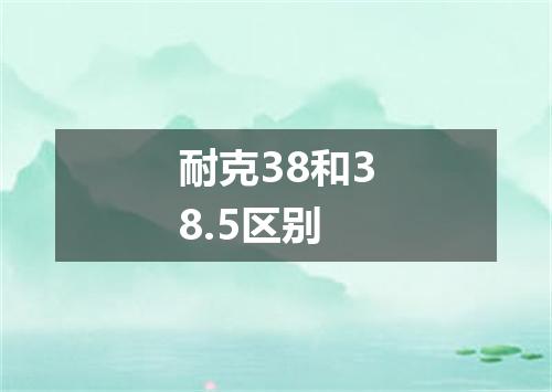 耐克38和38.5区别