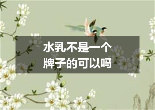 水乳不是一个牌子的可以吗