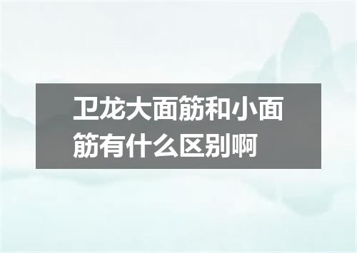 卫龙大面筋和小面筋有什么区别啊