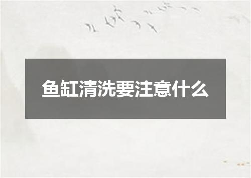 鱼缸清洗要注意什么