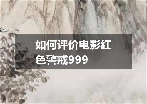如何评价电影红色警戒999