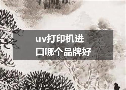 uv打印机进口哪个品牌好