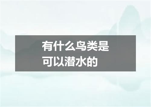 有什么鸟类是可以潜水的