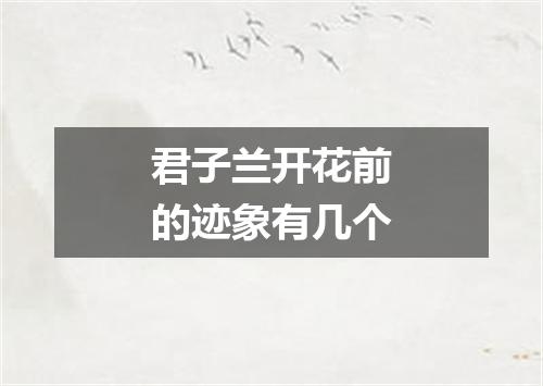 君子兰开花前的迹象有几个