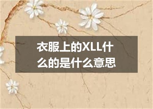 衣服上的XLL什么的是什么意思
