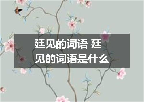 廷见的词语 廷见的词语是什么