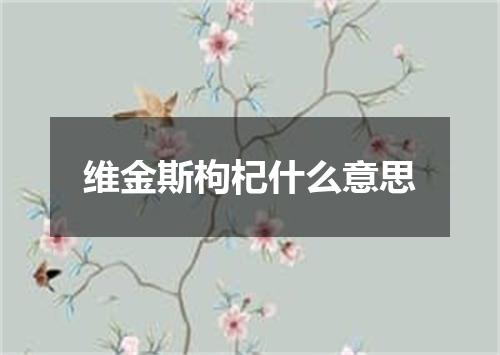 维金斯枸杞什么意思