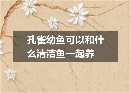 孔雀幼鱼可以和什么清洁鱼一起养