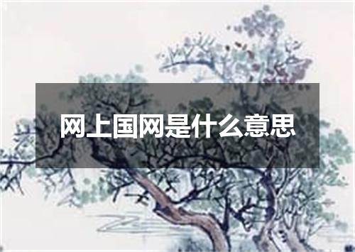 网上国网是什么意思