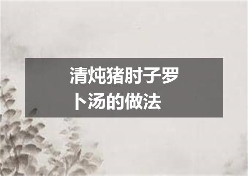 清炖猪肘子罗卜汤的做法