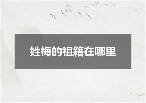 姓梅的祖籍在哪里